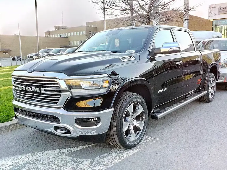 RAM 1500 Regular Cab Long (DS) (2010-2012)